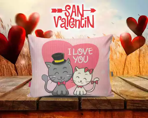 vectores plantilas SAN VALENTIN,FESTEJO,FESTIVIDAD,AMOR,DUOS,COJINES,CARICATURA,DISNEY,